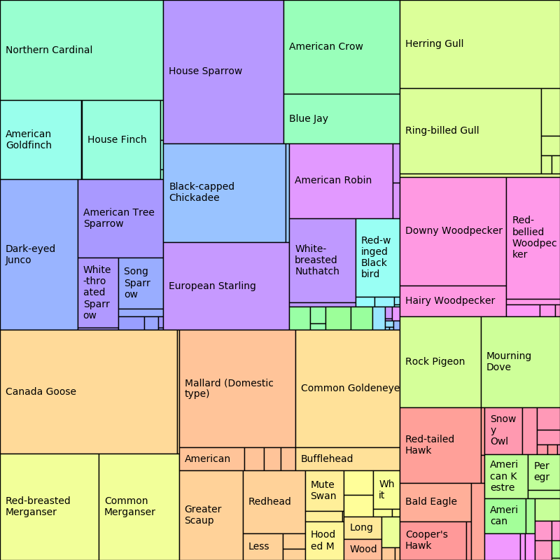 ../../_images/birds-Feb-treemap.png