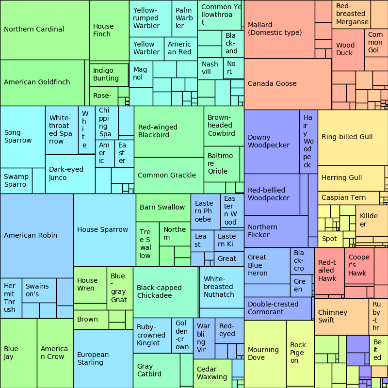 ../../_images/birds-Year-treemap.png