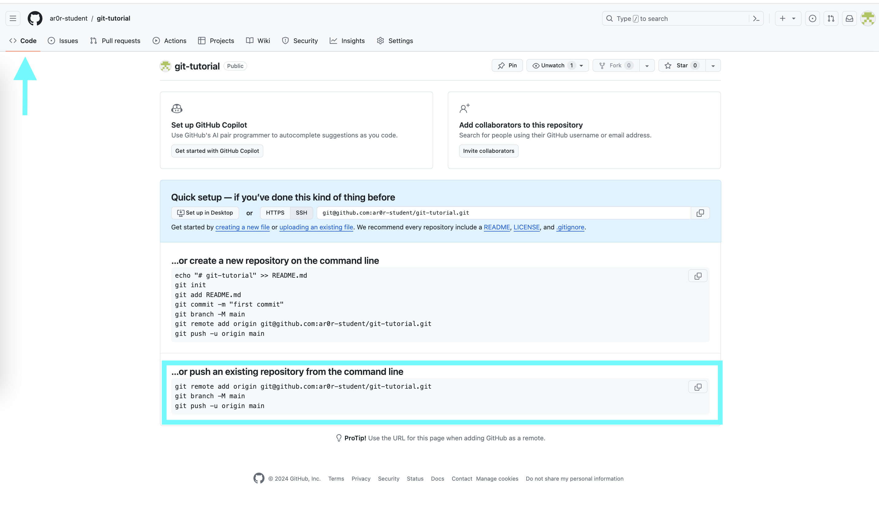 The empty GitHub repository page, with the 'or push an existing repository from the command line' section highlighted, showing the git remote add, git branch, and git push commands.
